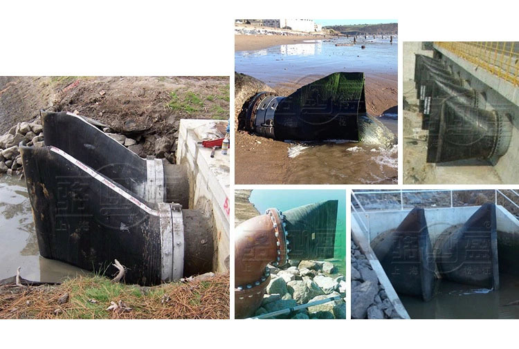 上海駱盈向百色右江區污水處理廠供應橡膠止回閥