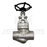 J11W-800LB鍛鋼不銹鋼316截止閥 J11W-800LB鍛鋼不銹鋼316截止閥